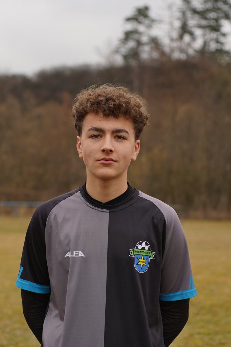Vištiak